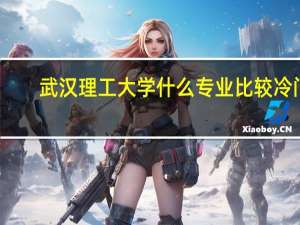 武汉理工大学什么专业比较冷门