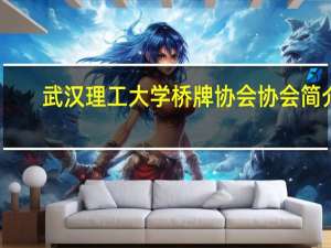 武汉理工大学桥牌协会协会简介