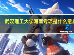 武汉理工大学海南专项是什么意思啊