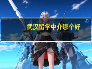 武汉留学中介哪个好