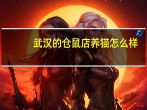 武汉的仓鼠店养猫怎么样