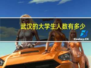 武汉的大学生人数有多少