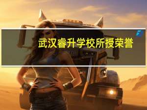 武汉睿升学校所授荣誉