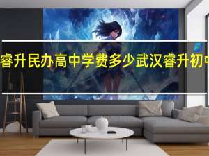 武汉睿升民办高中学费多少 武汉睿升初中的升学率