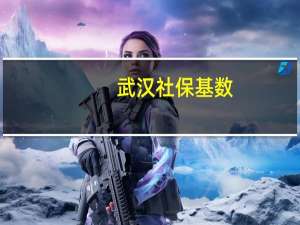 武汉社保基数