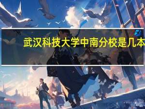武汉科技大学中南分校是几本