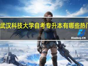 武汉科技大学自考专升本有哪些热门专业？