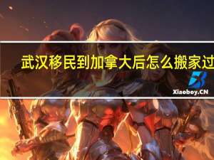 武汉移民到加拿大后怎么搬家过去