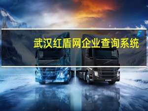 武汉红盾网企业查询系统（武汉红盾）