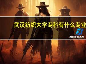 武汉纺织大学专科有什么专业