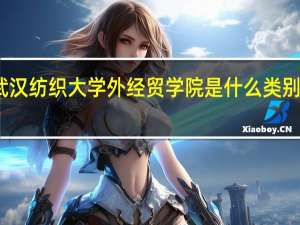 武汉纺织大学外经贸学院是什么类别的学校