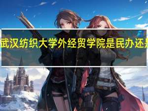 武汉纺织大学外经贸学院是民办还是公办
