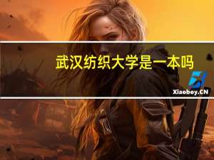 武汉纺织大学是一本吗