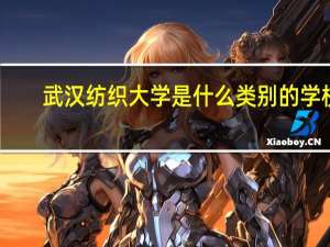 武汉纺织大学是什么类别的学校