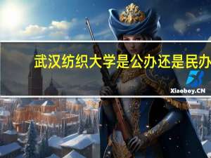 武汉纺织大学是公办还是民办