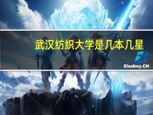 武汉纺织大学是几本几星