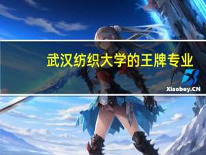 武汉纺织大学的王牌专业