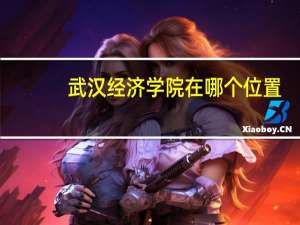 武汉经济学院在哪个位置