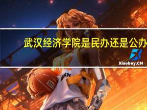 武汉经济学院是民办还是公办