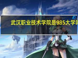 武汉职业技术学院是985大学吗