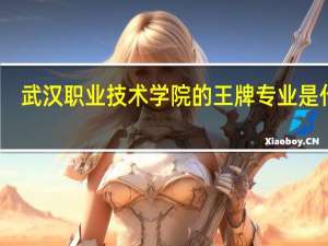武汉职业技术学院的王牌专业是什么