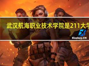 武汉航海职业技术学院是211大学吗