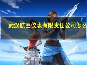 武汉航空仪表有限责任公司怎么样