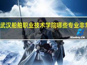 武汉船舶职业技术学院哪些专业非常出名
