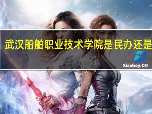 武汉船舶职业技术学院是民办还是公办