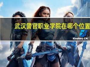 武汉警官职业学院在哪个位置
