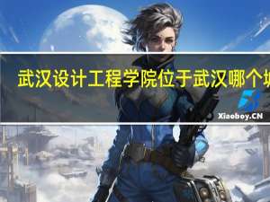 武汉设计工程学院位于武汉哪个城区