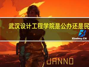 武汉设计工程学院是公办还是民办