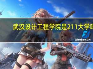 武汉设计工程学院是211大学吗