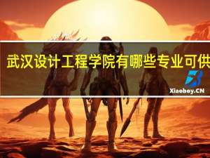 武汉设计工程学院有哪些专业可供选择
