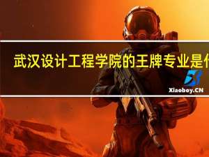 武汉设计工程学院的王牌专业是什么