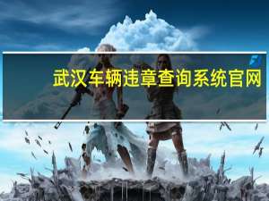 武汉车辆违章查询系统官网（武汉车辆违章查询系统）