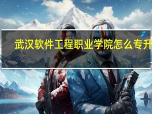 武汉软件工程职业学院怎么专升本