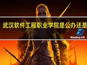 武汉软件工程职业学院是公办还是民办