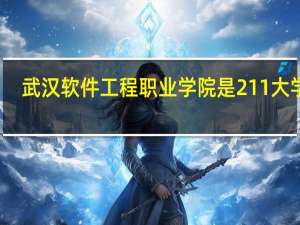 武汉软件工程职业学院是211大学吗