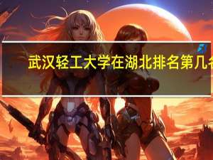 武汉轻工大学在湖北排名第几名