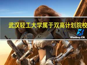 武汉轻工大学属于双高计划院校吗