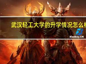 武汉轻工大学的升学情况怎么样