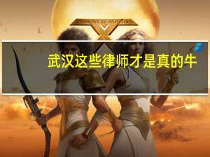 武汉这些律师才是真的牛，需要的话可以看看
