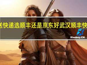武汉送快递选顺丰还是京东好 武汉顺丰快递网点查询
