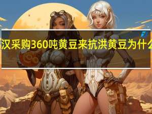 武汉采购360吨黄豆来抗洪 黄豆为什么能抗洪