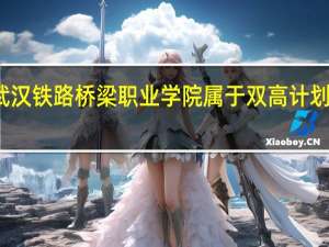 武汉铁路桥梁职业学院属于双高计划院校吗