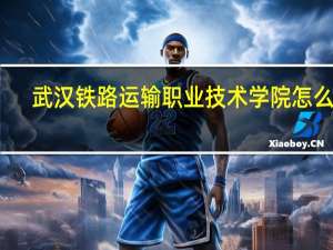 武汉铁路运输职业技术学院怎么样