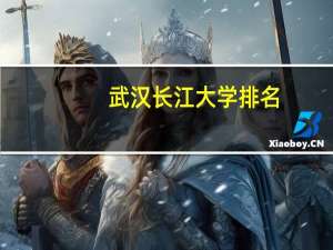 武汉长江大学排名