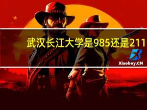 武汉长江大学是985还是211