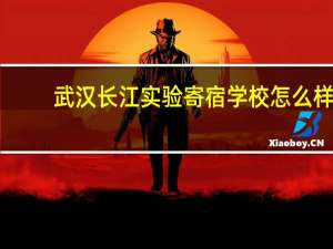 武汉长江实验寄宿学校怎么样